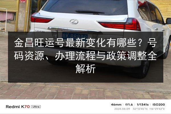 金昌旺运号最新变化有哪些？号码资源、办理流程与政策调整全解析 第3张