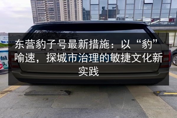 东营豹子号最新措施：以“豹”喻速，探城市治理的敏捷文化新实践 第2张