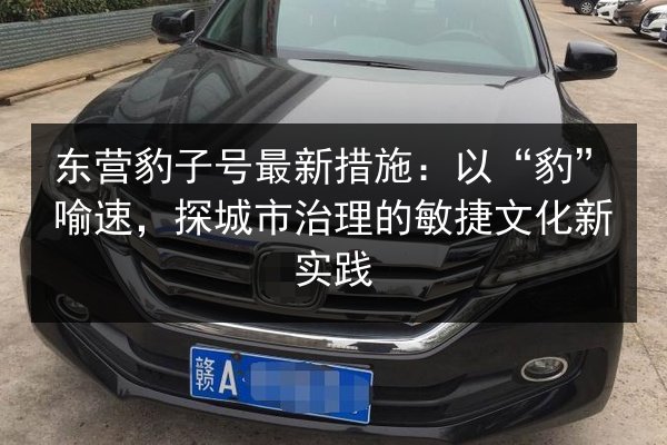 东营豹子号最新措施：以“豹”喻速，探城市治理的敏捷文化新实践 第3张