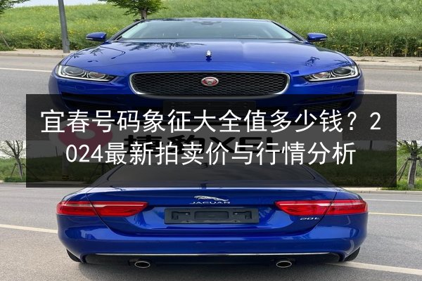 宜春号码象征大全值多少钱？2024最新拍卖价与行情分析