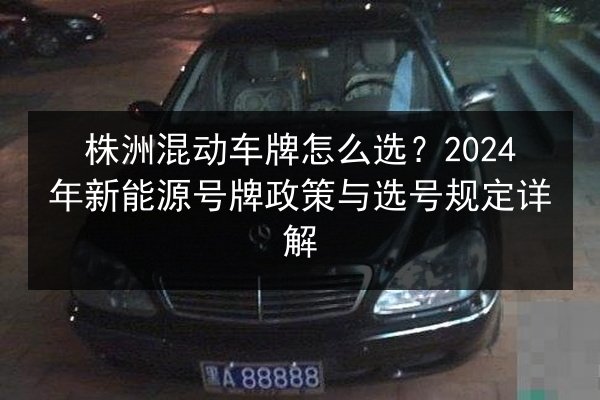 株洲混动车牌怎么选?2024年新能源号牌政策与选号规定详解 第2张 株洲混动车牌怎么选?2024年新能源号牌政策与选号规定详解 第2张