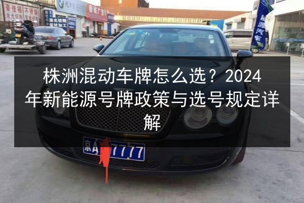 株洲混动车牌怎么选?2024年新能源号牌政策与选号规定详解 第3张 株洲混动车牌怎么选?2024年新能源号牌政策与选号规定详解 第3张