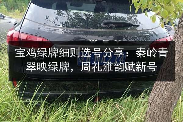 宝鸡绿牌细则选号分享:秦岭青翠映绿牌,周礼雅韵赋新号 第3张 宝鸡绿牌细则选号分享:秦岭青翠映绿牌,周礼雅韵赋新号 第3张