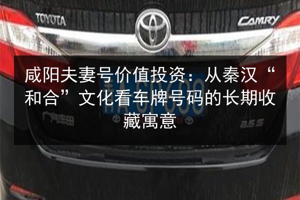 咸阳夫妻号价值投资：从秦汉“和合”文化看车牌号码的长期收藏寓意 第3张