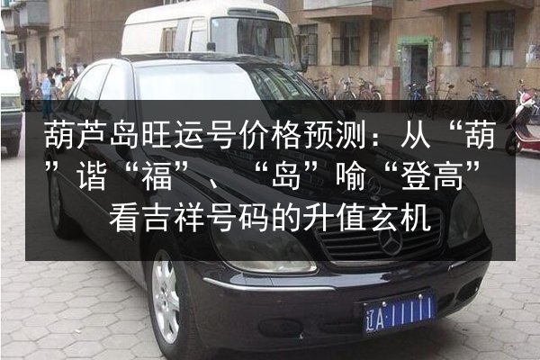 葫芦岛旺运号价格预测：从“葫”谐“福”、“岛”喻“登高”看吉祥号码的升值玄机 第2张