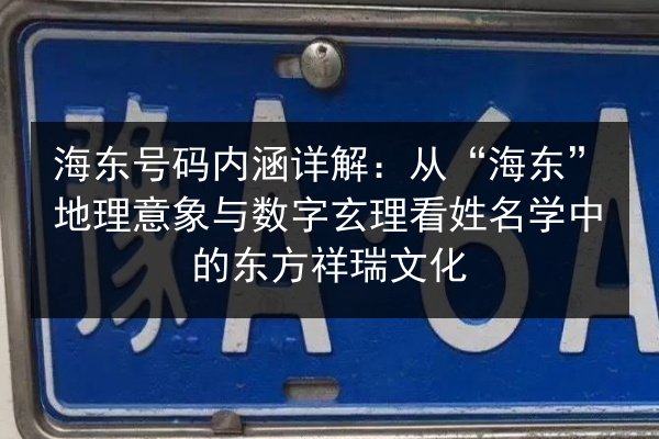 海东号码内涵详解：从“海东”地理意象与数字玄理看姓名学中的东方祥瑞文化