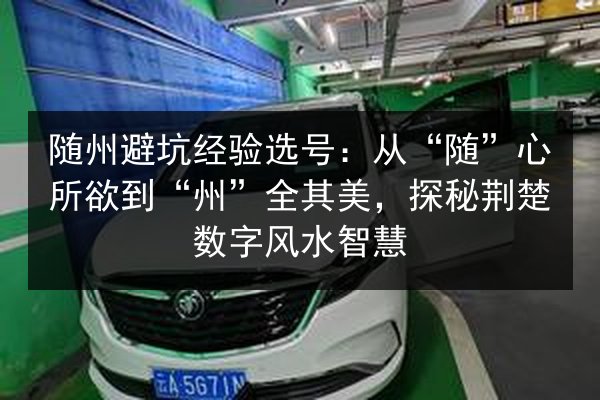 随州避坑经验选号：从“随”心所欲到“州”全其美，探秘荆楚数字风水智慧