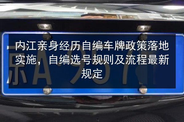 内江亲身经历自编车牌政策落地实施，自编选号规则及流程最新规定 第1张