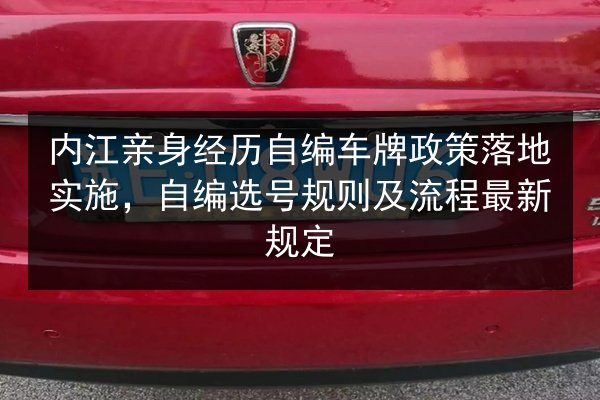 内江亲身经历自编车牌政策落地实施，自编选号规则及流程最新规定 第2张