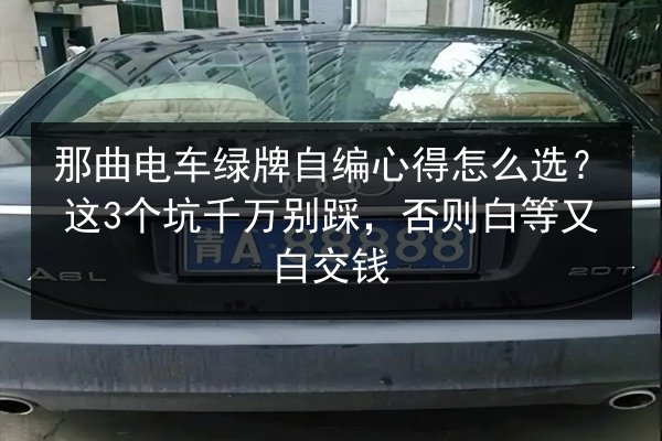 那曲电车绿牌自编心得怎么选?这3个坑千万别踩,否则白等又白交钱 第3张 那曲电车绿牌自编心得怎么选?这3个坑千万别踩,否则白等又白交钱 第3张