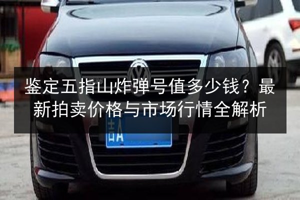 鉴定五指山炸弹号值多少钱？最新拍卖价格与市场行情全解析 第1张