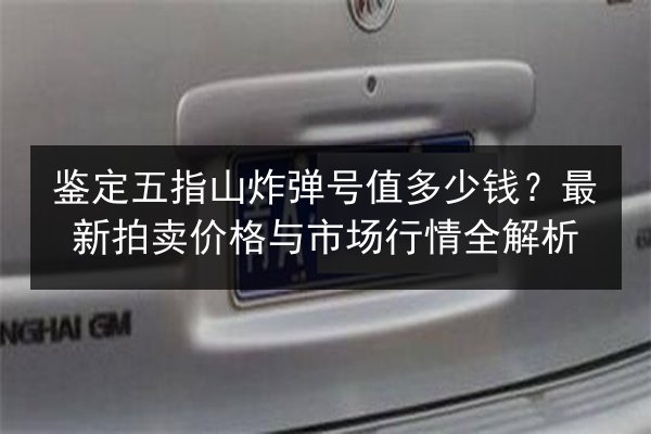 鉴定五指山炸弹号值多少钱？最新拍卖价格与市场行情全解析 第2张