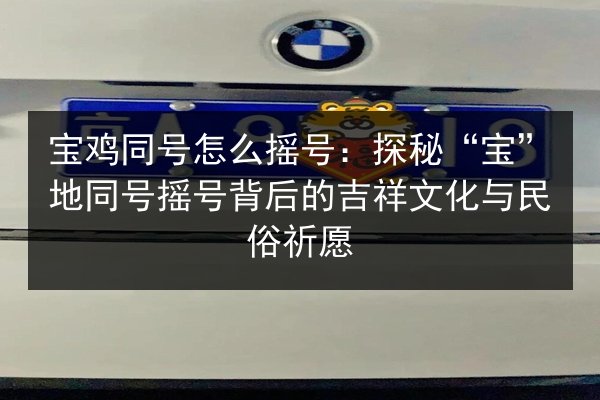 宝鸡同号怎么摇号：探秘“宝”地同号摇号背后的吉祥文化与民俗祈愿