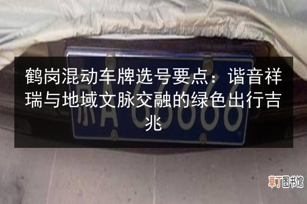 鹤岗混动车牌选号要点：谐音祥瑞与地域文脉交融的绿色出行吉兆