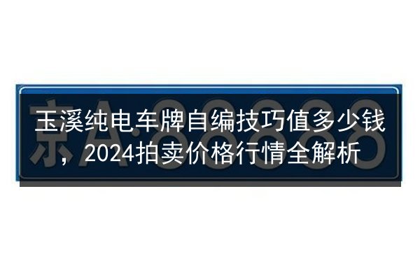玉溪纯电车牌自编技巧值多少钱，2024拍卖价格行情全解析 第2张