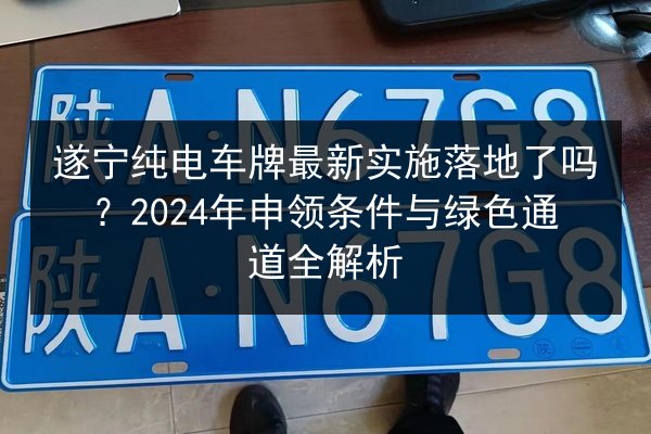 遂宁纯电车牌最新实施落地了吗?2024年申领条件与绿色通道全解析 第2张 遂宁纯电车牌最新实施落地了吗?2024年申领条件与绿色通道全解析 第2张