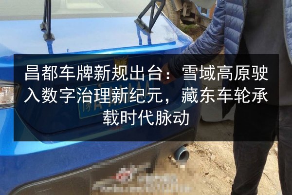 昌都车牌新规出台：雪域高原驶入数字治理新纪元，藏东车轮承载时代脉动