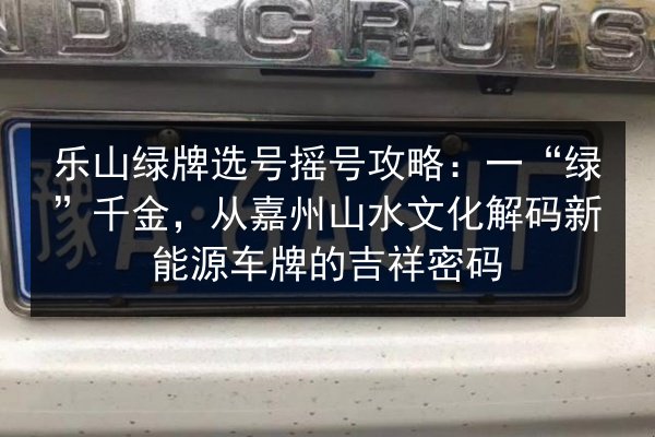 乐山绿牌选号摇号攻略：一“绿”千金，从嘉州山水文化解码新能源车牌的吉祥密码 第3张
