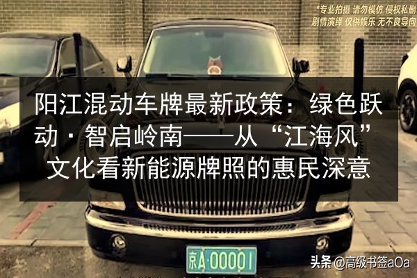 阳江混动车牌最新政策:绿色跃动·智启岭南——从“江海风”文化看新能源牌照的惠民深意 第3张 阳江混动车牌最新政策:绿色跃动·智启岭南——从“江海风”文化看新能源牌照的惠民深意 第3张