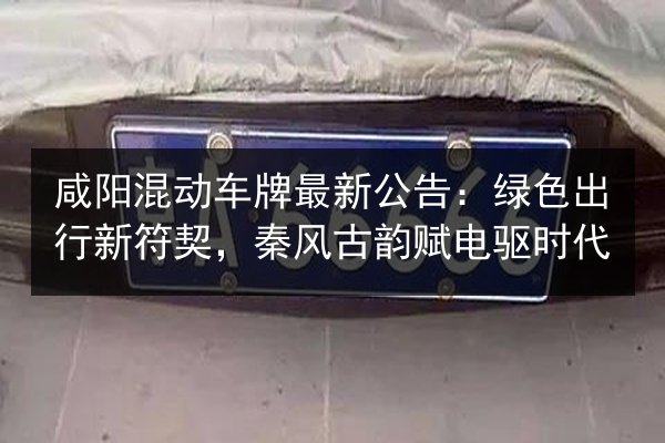 咸阳混动车牌最新公告：绿色出行新符契，秦风古韵赋电驱时代