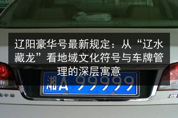 辽阳豪华号最新规定：从“辽水藏龙”看地域文化符号与车牌管理的深层寓意