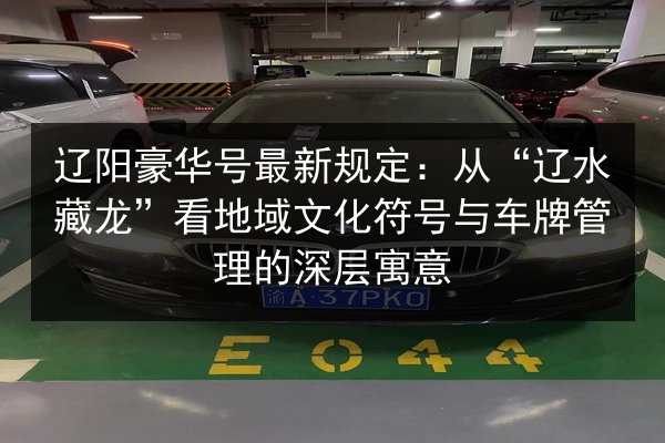 辽阳豪华号最新规定:从“辽水藏龙”看地域文化符号与车牌管理的深层寓意 第2张 辽阳豪华号最新规定:从“辽水藏龙”看地域文化符号与车牌管理的深层寓意 第2张