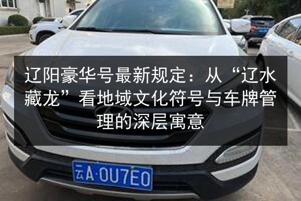 辽阳豪华号最新规定:从“辽水藏龙”看地域文化符号与车牌管理的深层寓意 第3张 辽阳豪华号最新规定:从“辽水藏龙”看地域文化符号与车牌管理的深层寓意 第3张