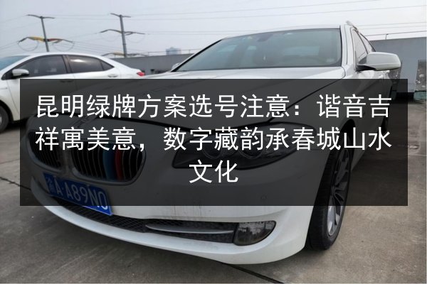 昆明绿牌方案选号注意：谐音吉祥寓美意，数字藏韵承春城山水文化 第2张