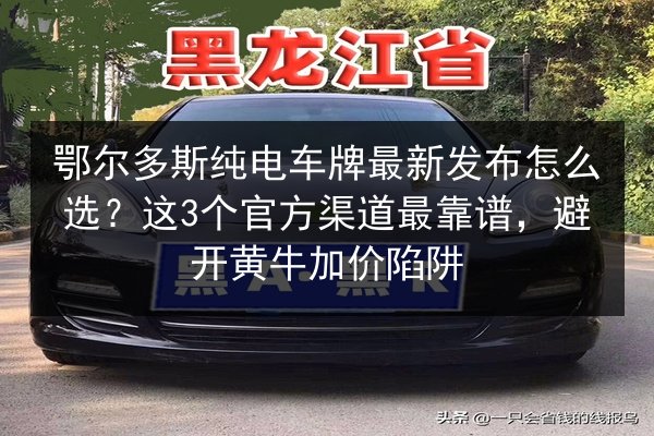 鄂尔多斯纯电车牌最新发布怎么选？这3个官方渠道最靠谱，避开黄牛加价陷阱 第3张