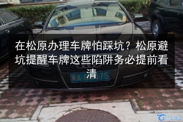 在松原办理车牌怕踩坑?松原避坑提醒车牌这些陷阱务必提前看清 第2张 在松原办理车牌怕踩坑?松原避坑提醒车牌这些陷阱务必提前看清 第2张