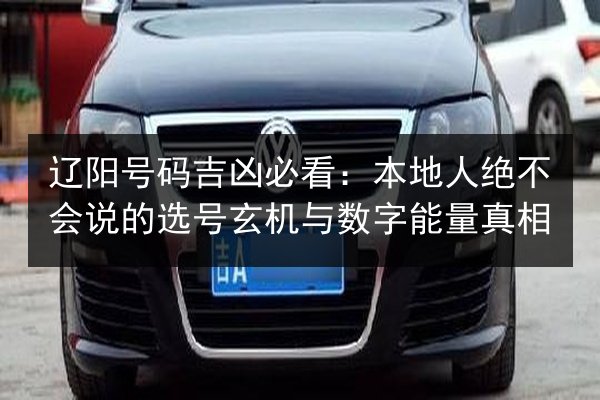 辽阳号码吉凶必看：本地人绝不会说的选号玄机与数字能量真相 第2张