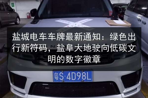 盐城电车车牌最新通知:绿色出行新符码,盐阜大地驶向低碳文明的数字徽章 第3张 盐城电车车牌最新通知:绿色出行新符码,盐阜大地驶向低碳文明的数字徽章 第3张