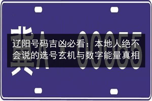 辽阳号码吉凶必看：本地人绝不会说的选号玄机与数字能量真相 第3张