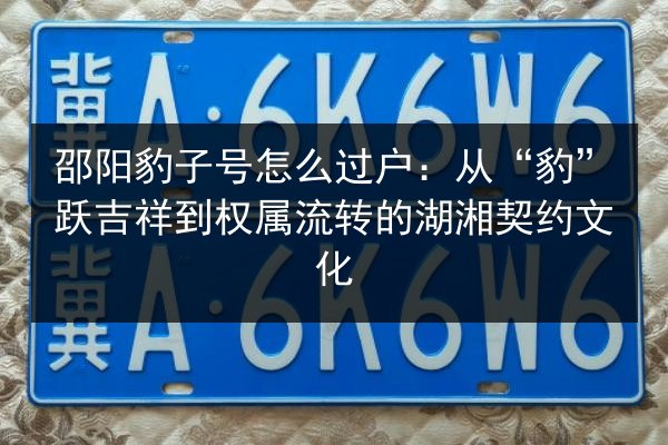 邵阳豹子号怎么过户：从“豹”跃吉祥到权属流转的湖湘契约文化