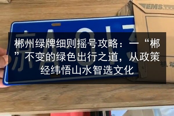 郴州绿牌细则摇号攻略：一“郴”不变的绿色出行之道，从政策经纬悟山水智选文化
