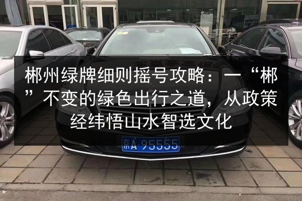 郴州绿牌细则摇号攻略:一“郴”不变的绿色出行之道,从政策经纬悟山水智选文化 第2张 郴州绿牌细则摇号攻略:一“郴”不变的绿色出行之道,从政策经纬悟山水智选文化 第2张