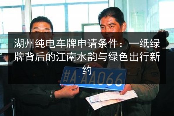 湖州纯电车牌申请条件：一纸绿牌背后的江南水韵与绿色出行新约 第3张