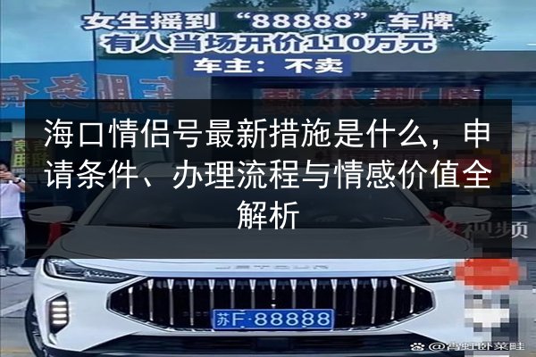 海口情侣号最新措施是什么，申请条件、办理流程与情感价值全解析 第3张
