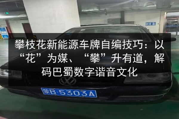 攀枝花新能源车牌自编技巧：以“花”为媒、“攀”升有道，解码巴蜀数字谐音文化