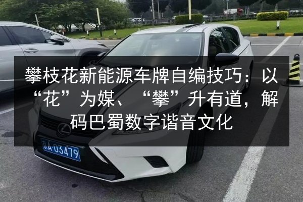 攀枝花新能源车牌自编技巧:以“花”为媒、“攀”升有道,解码巴蜀数字谐音文化 第3张 攀枝花新能源车牌自编技巧:以“花”为媒、“攀”升有道,解码巴蜀数字谐音文化 第3张