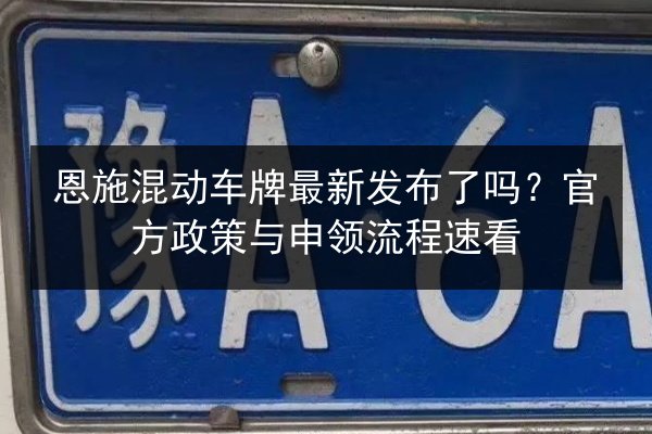 恩施混动车牌最新发布了吗?官方政策与申领流程速看 第3张 恩施混动车牌最新发布了吗?官方政策与申领流程速看 第3张