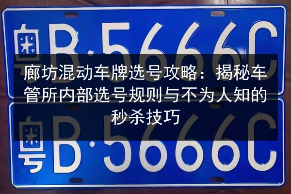 廊坊混动车牌选号攻略：揭秘车管所内部选号规则与不为人知的秒杀技巧