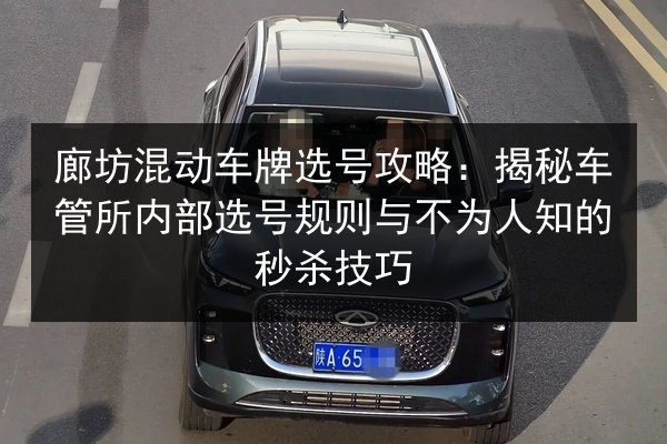 廊坊混动车牌选号攻略:揭秘车管所内部选号规则与不为人知的秒杀技巧 第2张 廊坊混动车牌选号攻略:揭秘车管所内部选号规则与不为人知的秒杀技巧 第2张