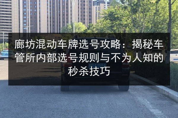 廊坊混动车牌选号攻略:揭秘车管所内部选号规则与不为人知的秒杀技巧 第3张 廊坊混动车牌选号攻略:揭秘车管所内部选号规则与不为人知的秒杀技巧 第3张