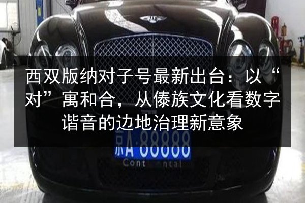 西双版纳对子号最新出台:以“对”寓和合,从傣族文化看数字谐音的边地治理新意象 第2张 西双版纳对子号最新出台:以“对”寓和合,从傣族文化看数字谐音的边地治理新意象 第2张