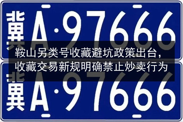 鞍山另类号收藏避坑政策出台，收藏交易新规明确禁止炒卖行为 第2张