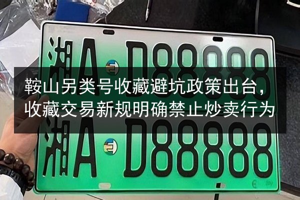 鞍山另类号收藏避坑政策出台，收藏交易新规明确禁止炒卖行为 第3张