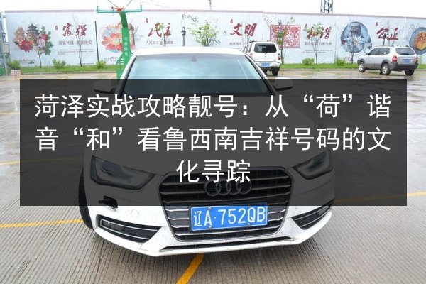 菏泽实战攻略靓号：从“荷”谐音“和”看鲁西南吉祥号码的文化寻踪 第3张