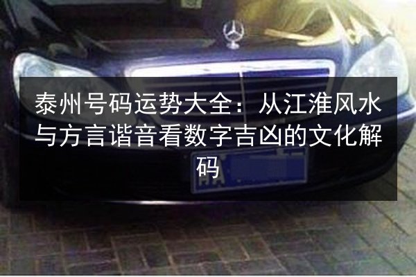 泰州号码运势大全:从江淮风水与方言谐音看数字吉凶的文化解码 第2张 泰州号码运势大全:从江淮风水与方言谐音看数字吉凶的文化解码 第2张
