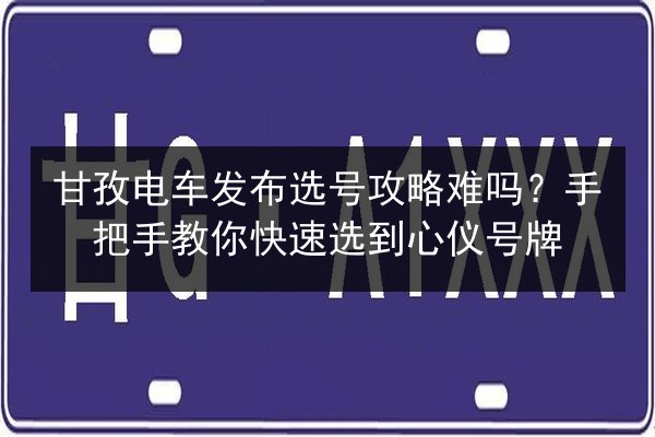 甘孜电车发布选号攻略难吗?手把手教你快速选到心仪号牌 第2张 甘孜电车发布选号攻略难吗?手把手教你快速选到心仪号牌 第2张